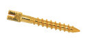 Gold Plate Dental Post